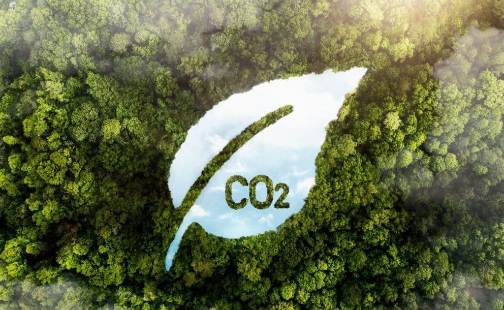 Reducerea amprentei de carbon - strategii si solutii pentru companii - Dioxid de carbon