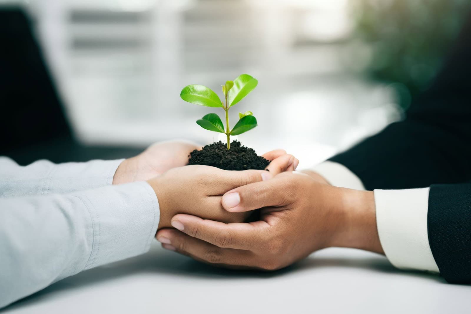 companie prietenoasă cu natura